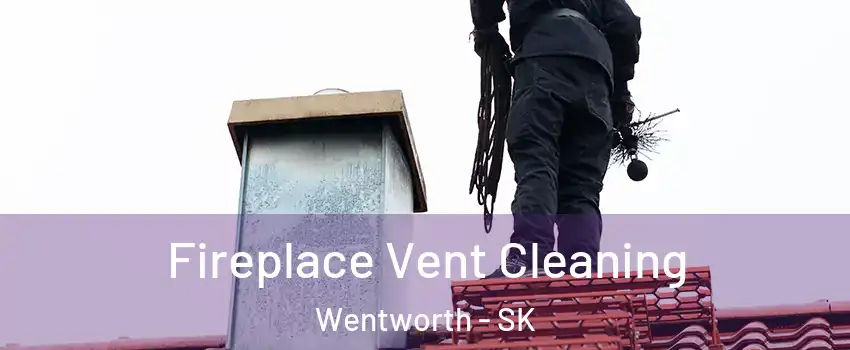  Fireplace Vent Cleaning Wentworth - SK