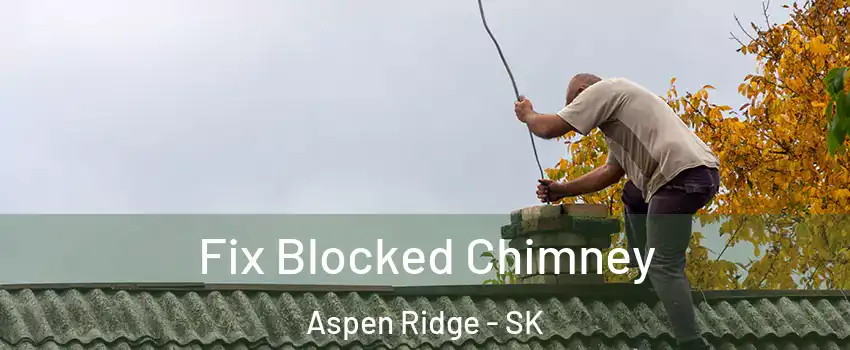  Fix Blocked Chimney Aspen Ridge - SK