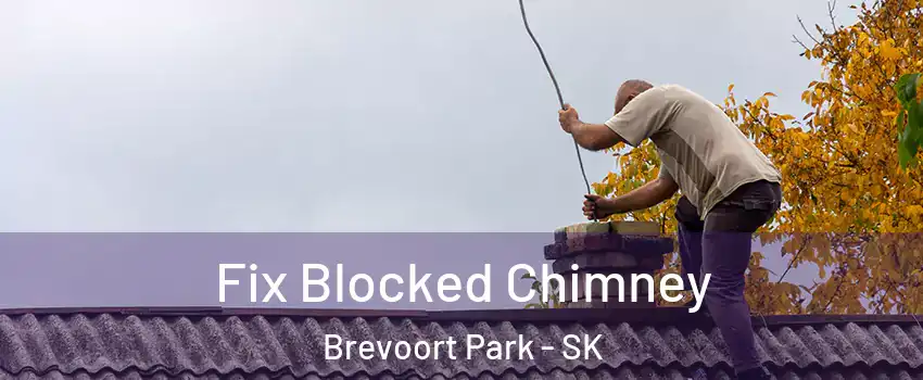  Fix Blocked Chimney Brevoort Park - SK