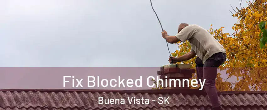  Fix Blocked Chimney Buena Vista - SK