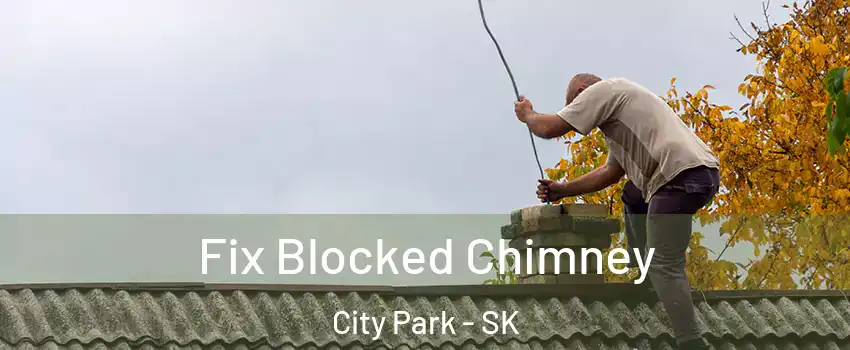  Fix Blocked Chimney City Park - SK