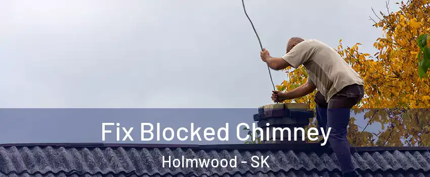  Fix Blocked Chimney Holmwood - SK