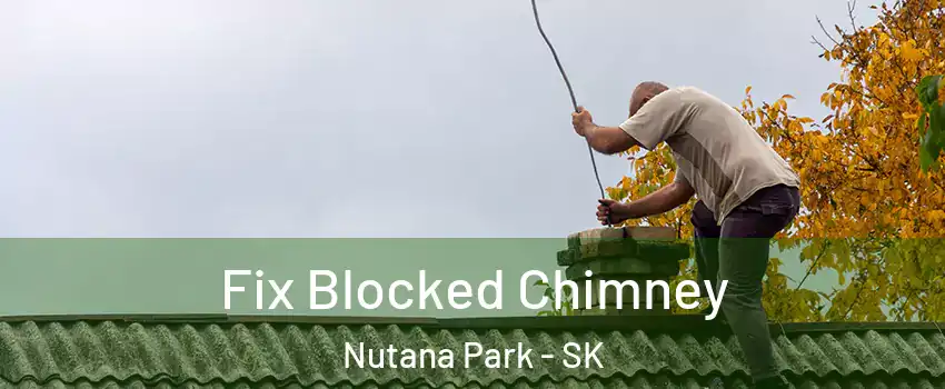  Fix Blocked Chimney Nutana Park - SK