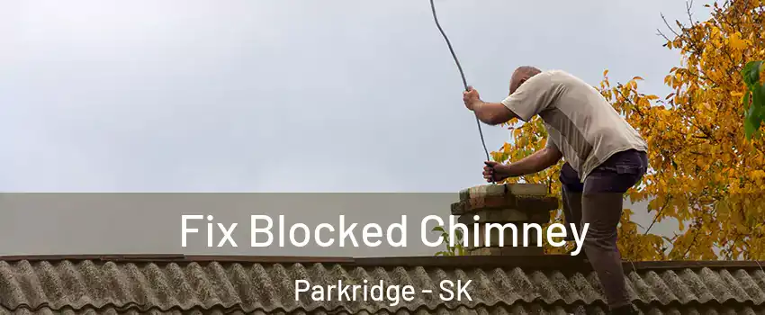  Fix Blocked Chimney Parkridge - SK