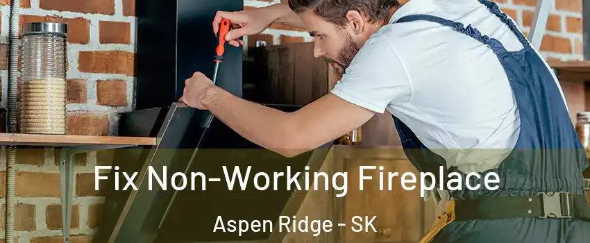  Fix Non-Working Fireplace Aspen Ridge - SK