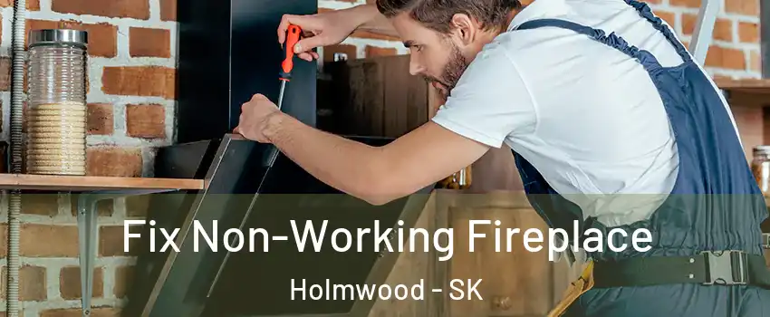  Fix Non-Working Fireplace Holmwood - SK