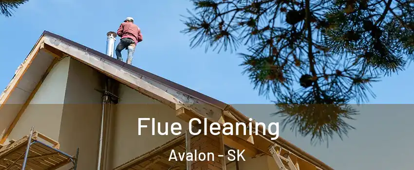  Flue Cleaning Avalon - SK