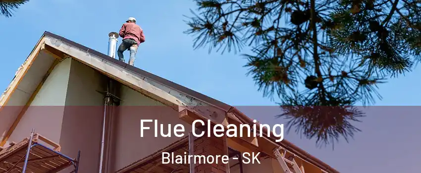  Flue Cleaning Blairmore - SK