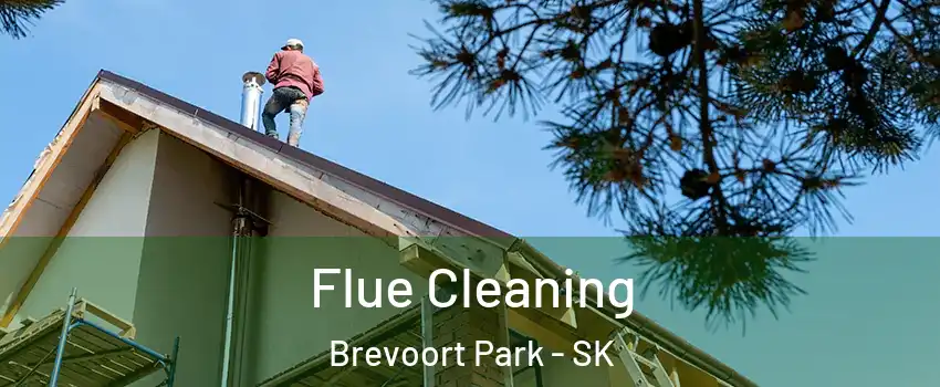  Flue Cleaning Brevoort Park - SK