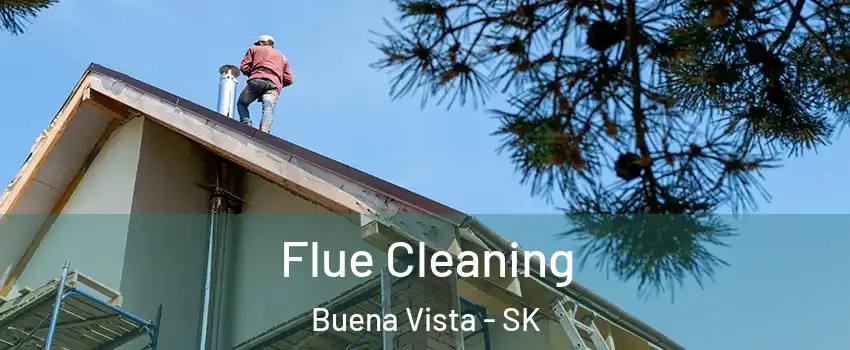  Flue Cleaning Buena Vista - SK