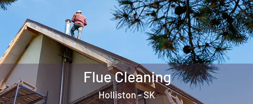  Flue Cleaning Holliston - SK