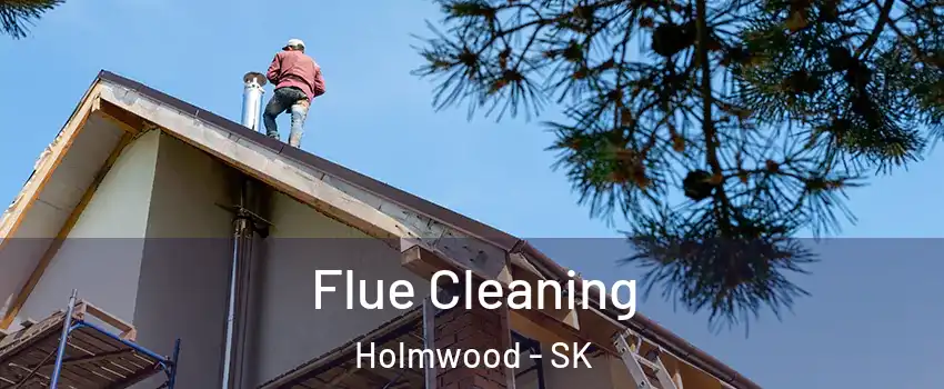  Flue Cleaning Holmwood - SK