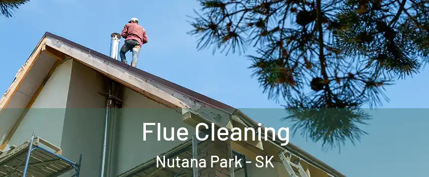  Flue Cleaning Nutana Park - SK
