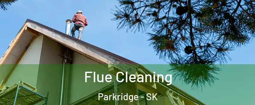  Flue Cleaning Parkridge - SK