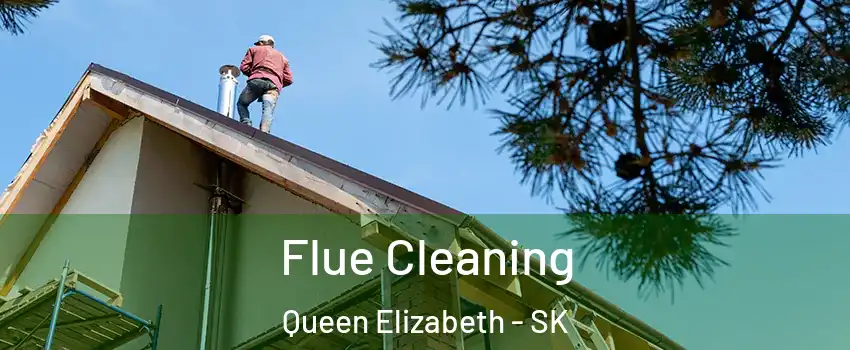  Flue Cleaning Queen Elizabeth - SK