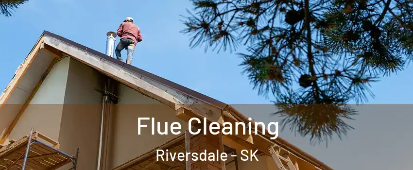  Flue Cleaning Riversdale - SK