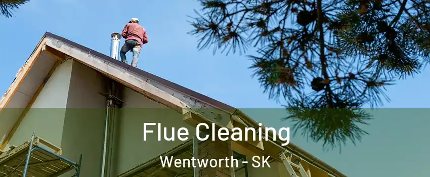  Flue Cleaning Wentworth - SK
