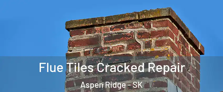  Flue Tiles Cracked Repair Aspen Ridge - SK