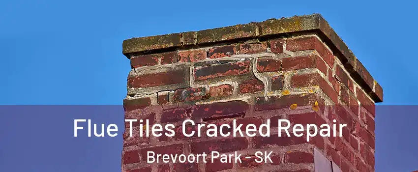  Flue Tiles Cracked Repair Brevoort Park - SK