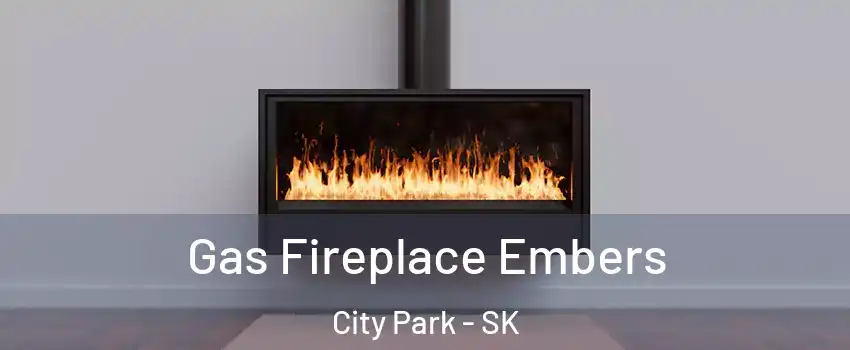  Gas Fireplace Embers City Park - SK
