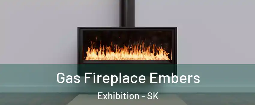  Gas Fireplace Embers Exhibition - SK