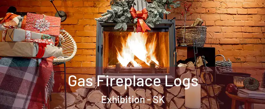  Gas Fireplace Logs Exhibition - SK