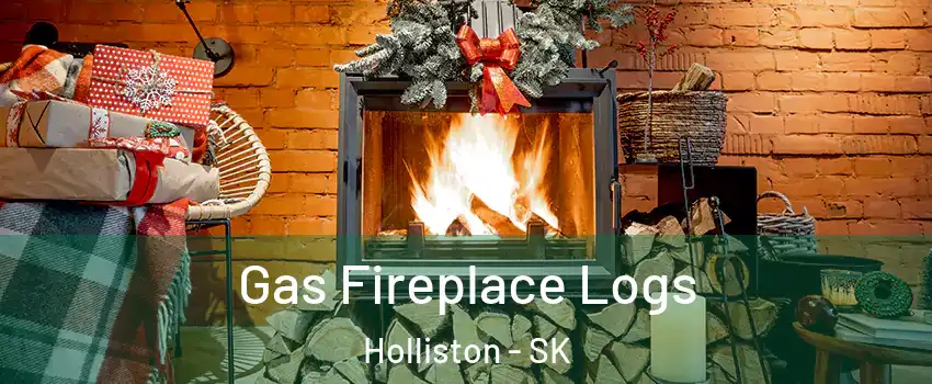  Gas Fireplace Logs Holliston - SK