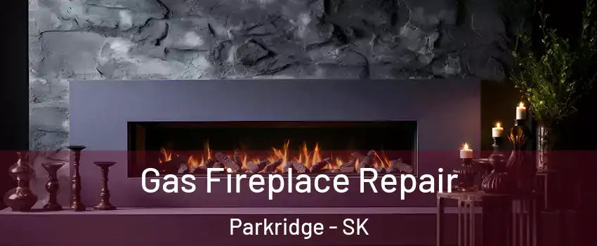  Gas Fireplace Repair Parkridge - SK