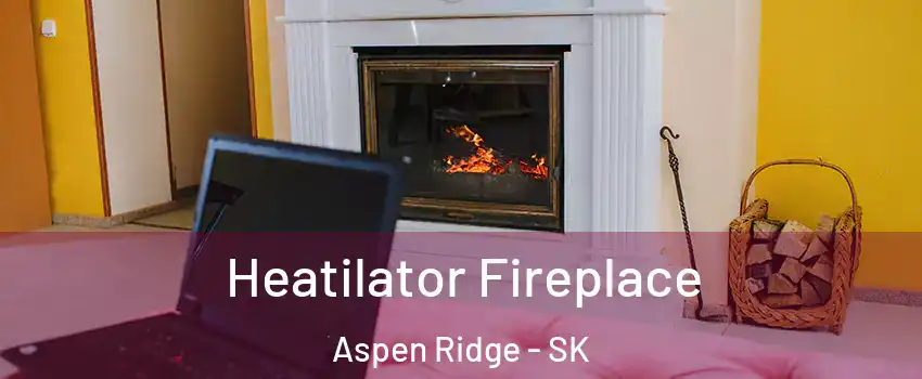  Heatilator Fireplace Aspen Ridge - SK