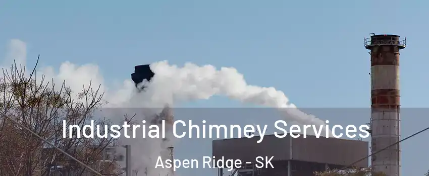 Industrial Chimney Services Aspen Ridge - SK