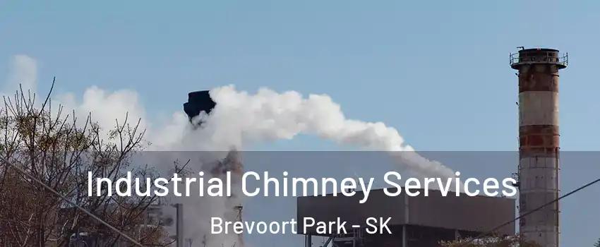  Industrial Chimney Services Brevoort Park - SK
