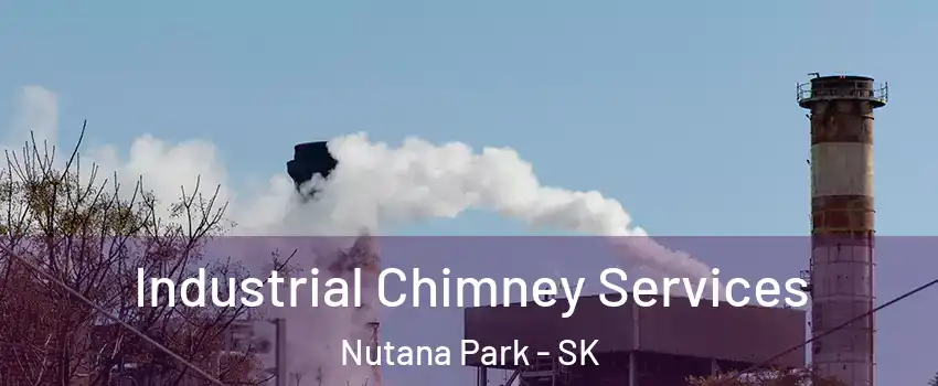  Industrial Chimney Services Nutana Park - SK
