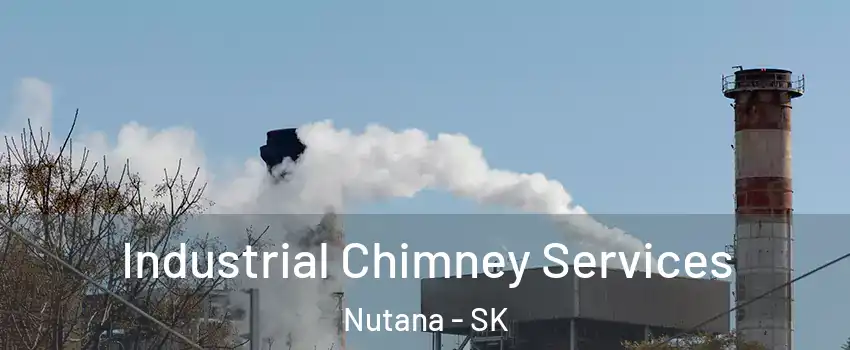  Industrial Chimney Services Nutana - SK