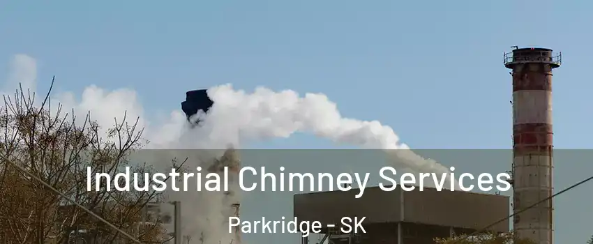  Industrial Chimney Services Parkridge - SK