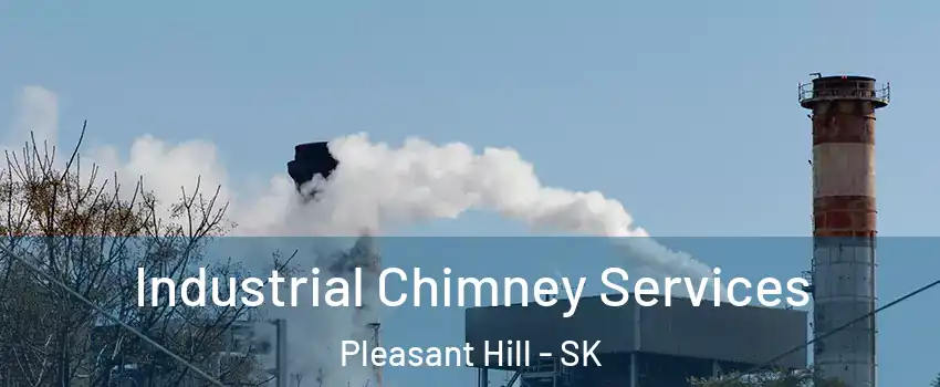  Industrial Chimney Services Pleasant Hill - SK