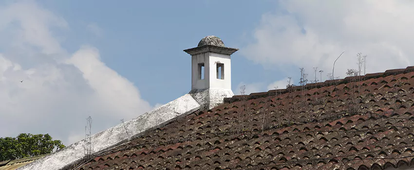 Wind-Resistant Chimney Caps Installation and Repair Services in University Heights, Saskatchewan