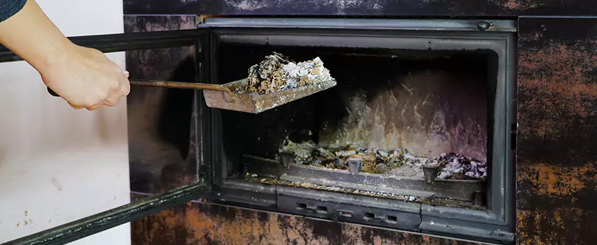 Wood Burning Chimney Odor Removal in University Heights, Saskatchewan