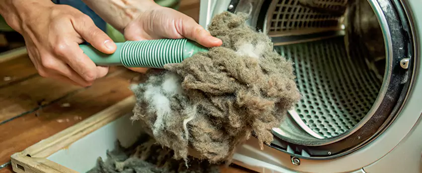 Best Dryer Lint Removal Company in University Heights, Saskatchewan