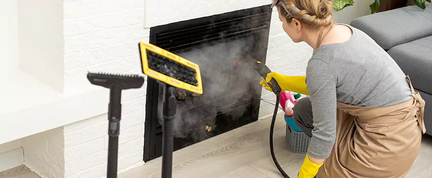 Fireplace Doors Cleaning in University Heights, Saskatchewan