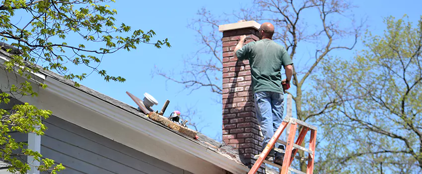 Chimney And Flue Brush Cleaning in University Heights, Saskatchewan
