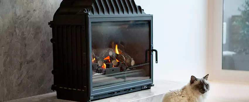 Fireplace Damaged Damper Frame Repair Services in University Heights, Saskatchewan