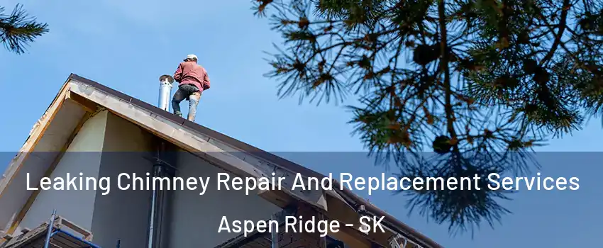  Leaking Chimney Repair And Replacement Services Aspen Ridge - SK