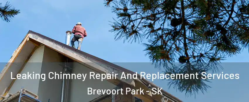  Leaking Chimney Repair And Replacement Services Brevoort Park - SK