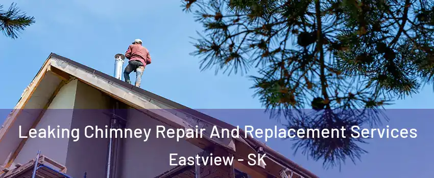  Leaking Chimney Repair And Replacement Services Eastview - SK