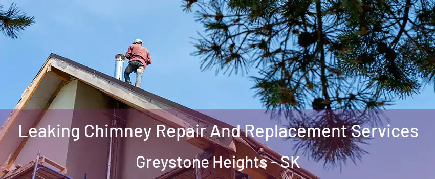  Leaking Chimney Repair And Replacement Services Greystone Heights - SK