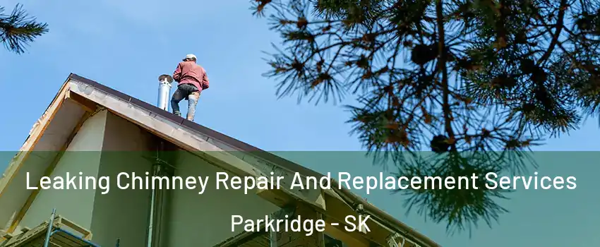  Leaking Chimney Repair And Replacement Services Parkridge - SK