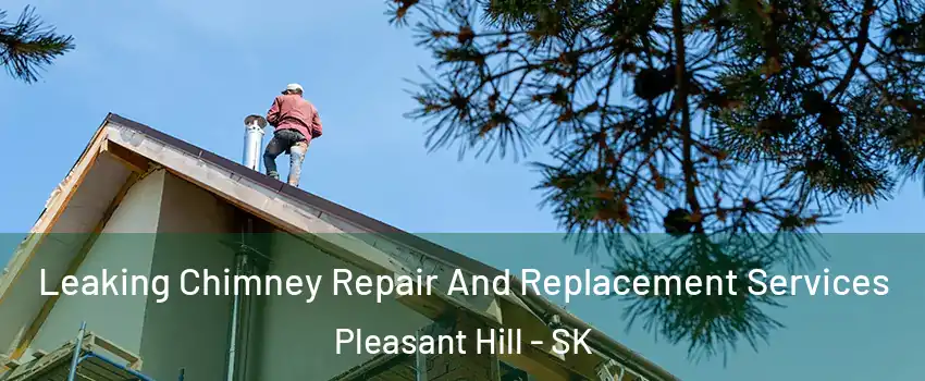  Leaking Chimney Repair And Replacement Services Pleasant Hill - SK