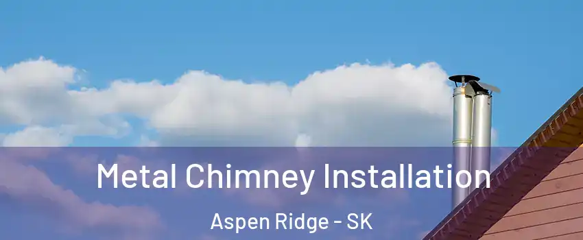  Metal Chimney Installation Aspen Ridge - SK