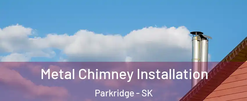  Metal Chimney Installation Parkridge - SK