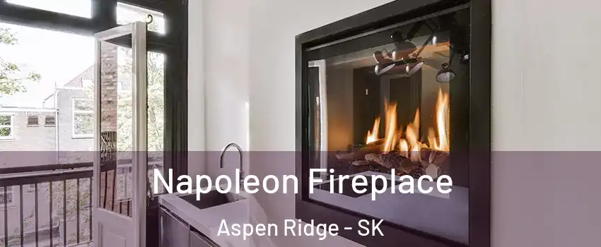  Napoleon Fireplace Aspen Ridge - SK